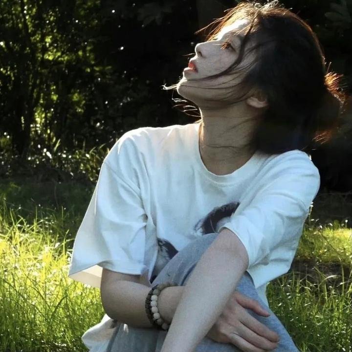 骑士的战争